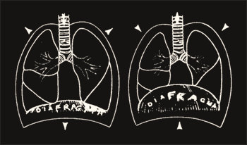 respiraci&oacute;n diafragm&aacute;tica